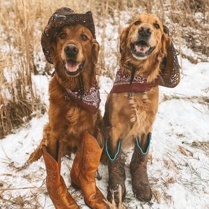 Meet your Posher, Bonnie